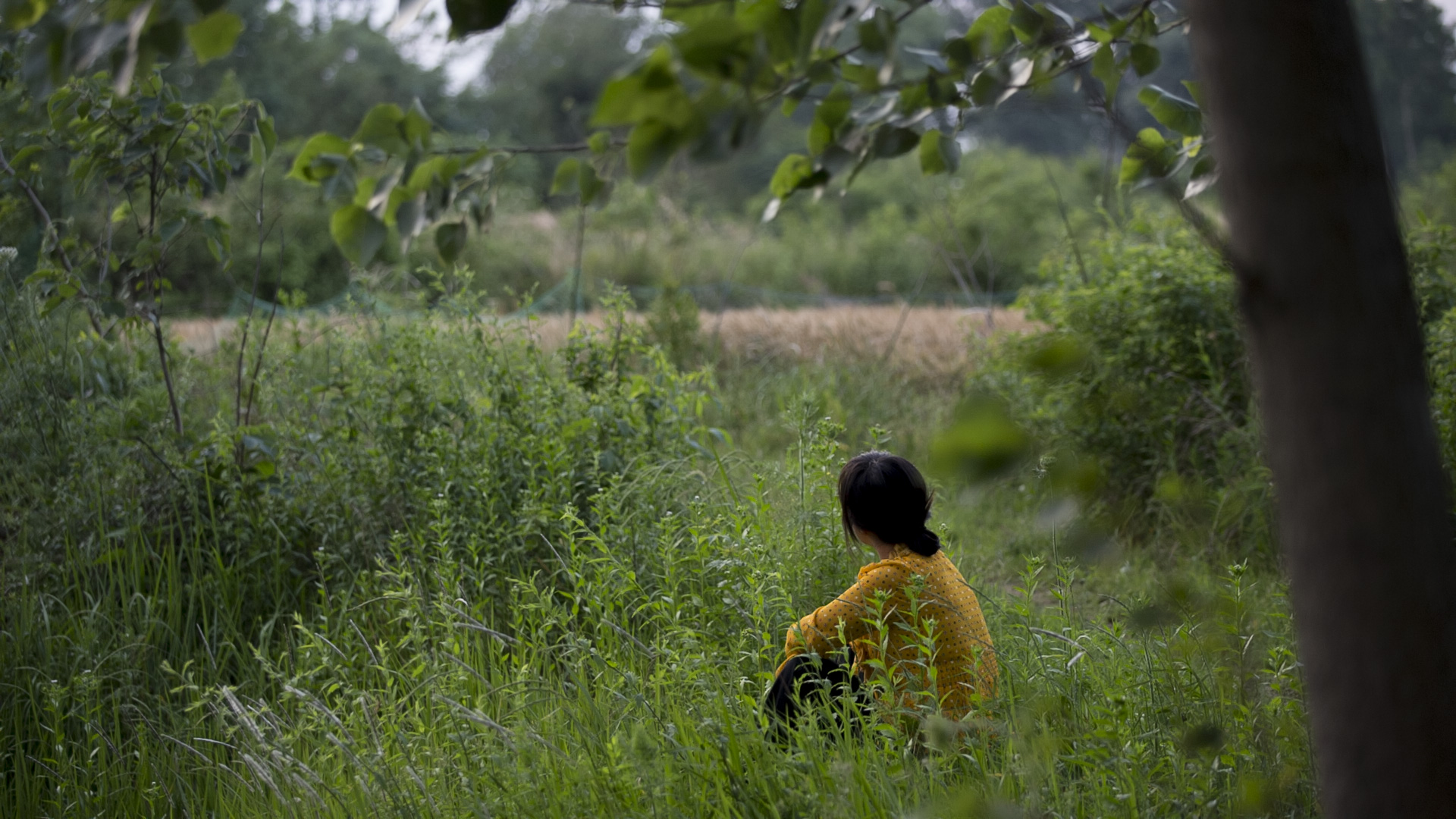 Movie Still