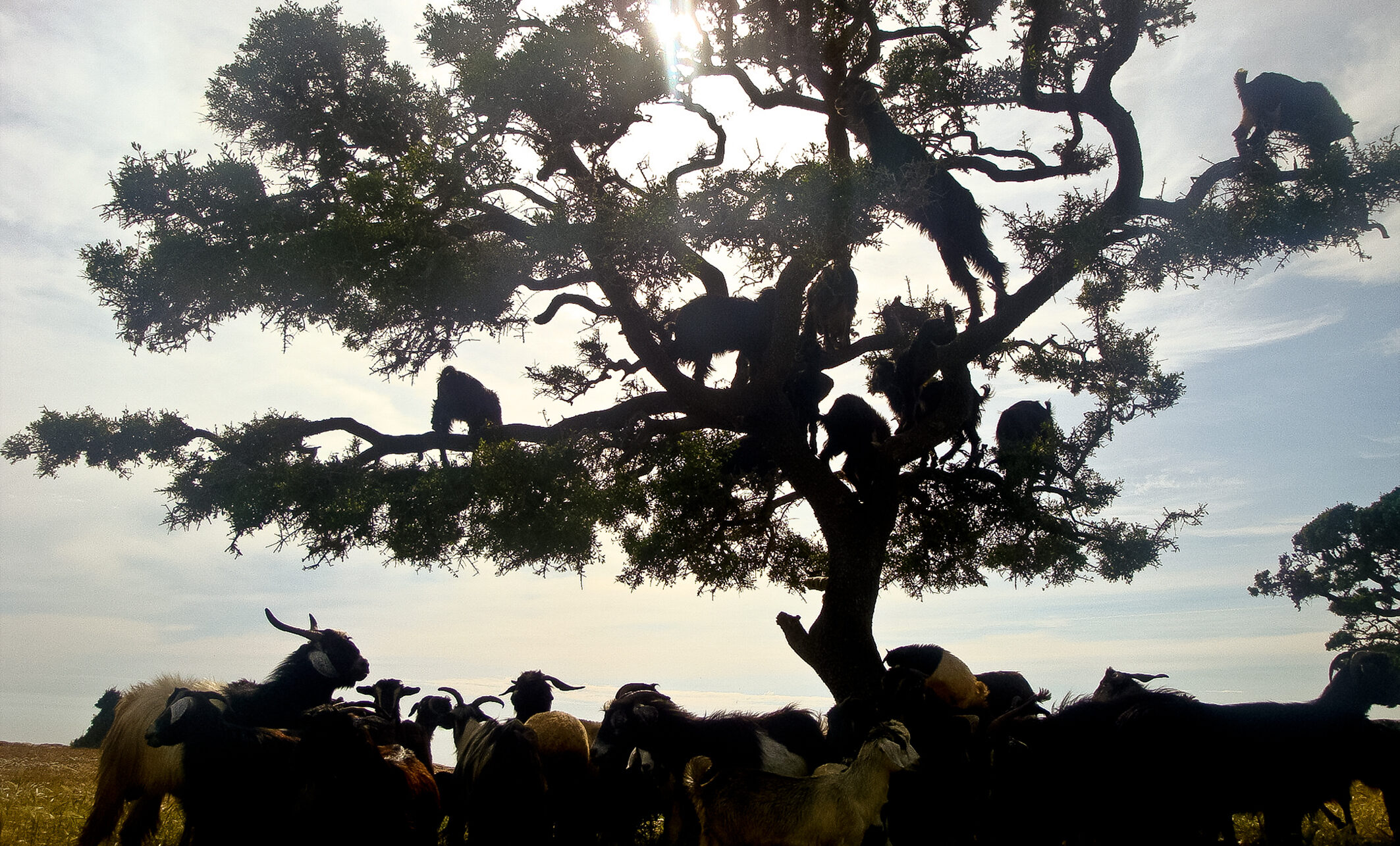Movie Still