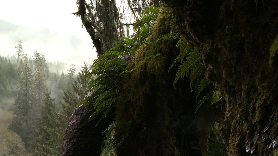 Movie Still